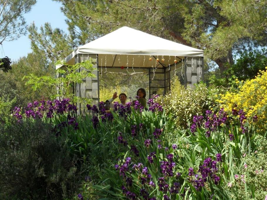 L'Oliveraie En Provence Lambesc Bagian luar foto